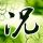 亚马逊